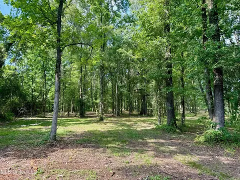 Ratliff Ferry, Canton, MS 39046 photo 15