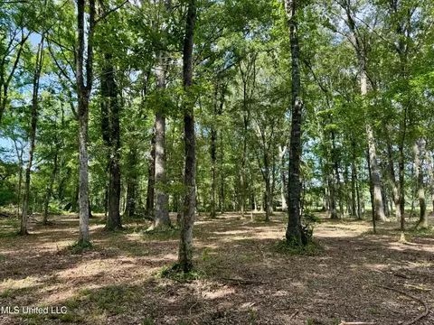 Ratliff Ferry, Canton, MS 39046 photo 19