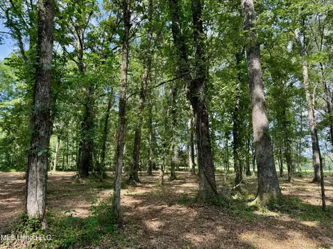 Ratliff Ferry, Canton, MS 39046 photo 20
