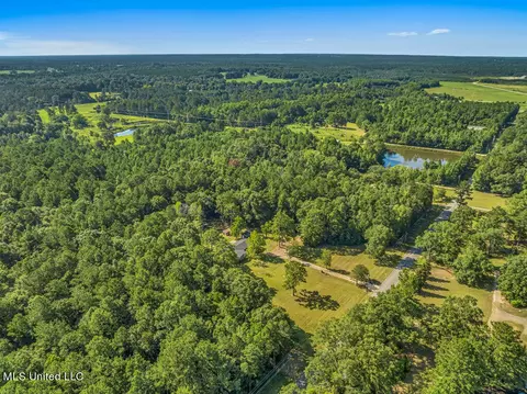 386 Old Highway 49, Wiggins, MS 39577 photo 31