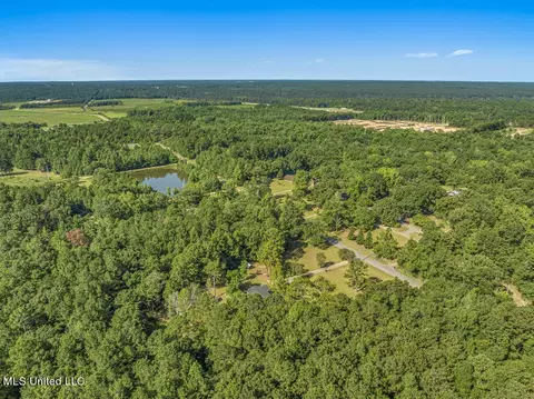 386 Old Highway 49, Wiggins, MS 39577 photo 30