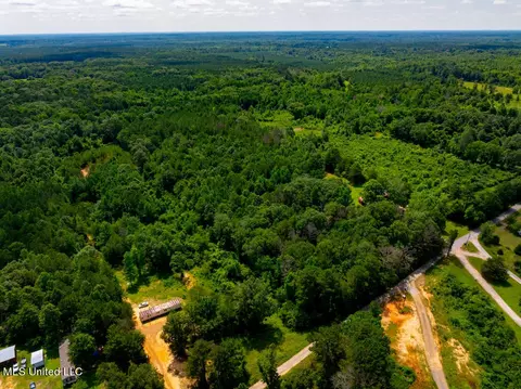 lot0 S Strong Rd, Forest, MS 39074 photo 5