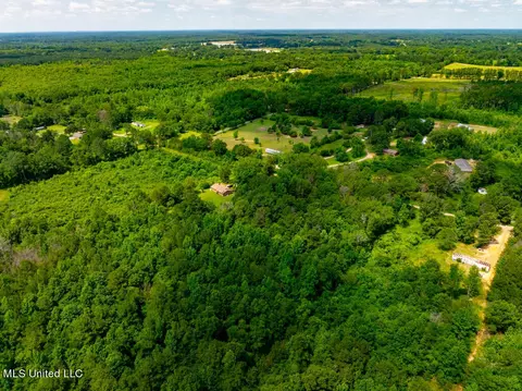 lot0 S Strong Rd, Forest, MS 39074 photo 16