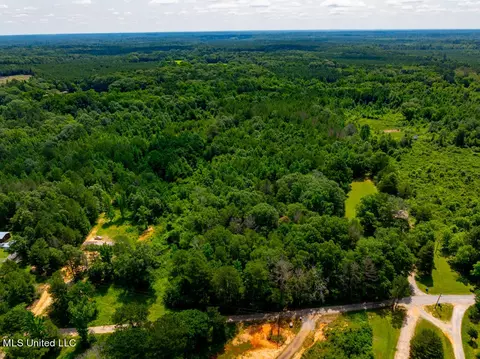lot0 S Strong Rd, Forest, MS 39074