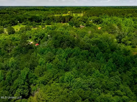 lot0 S Strong Rd, Forest, MS 39074 photo 14
