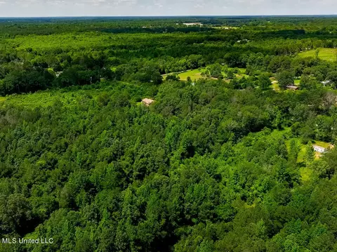 lot0 S Strong Rd, Forest, MS 39074 photo 12