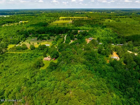 lot0 S Strong Rd, Forest, MS 39074 photo 15