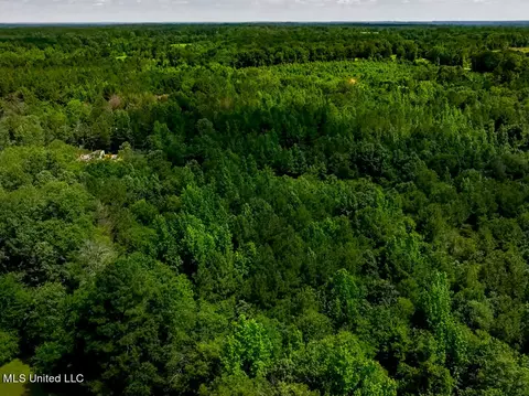 lot0 S Strong Rd, Forest, MS 39074 photo 13