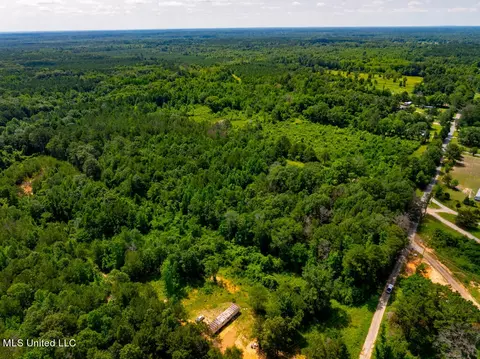 lot0 S Strong Rd, Forest, MS 39074 photo 17