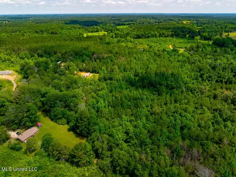 lot0 S Strong Rd, Forest, MS 39074 photo 9