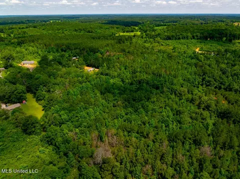 lot0 S Strong Rd, Forest, MS 39074 photo 10