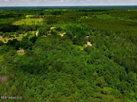 lot0 S Strong Rd, Forest, MS 39074 photo 11