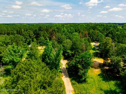 lot0 S Strong Rd, Forest, MS 39074 photo 4
