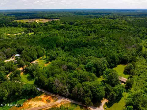 lot0 S Strong Rd, Forest, MS 39074 photo 2