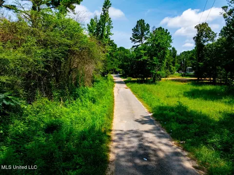 lot0 S Strong Rd, Forest, MS 39074 photo 8