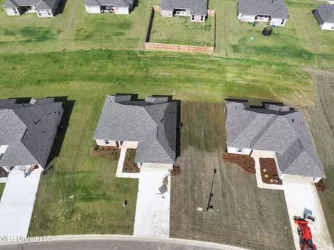 253 Chartleigh Cir, Canton, MS 39046 photo 2