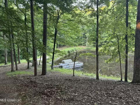 View/Area - 3484 Highway 5, Hickory Flat, MS 38633 photo 1 of 6