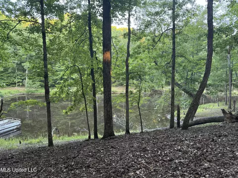 View/Area - 3484 Highway 5, Hickory Flat, MS 38633 photo 3 of 6