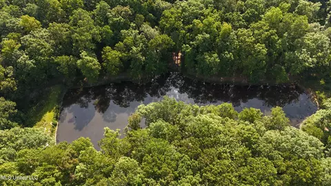 View/Area - 3484 Highway 5, Hickory Flat, MS 38633 photo 4 of 6