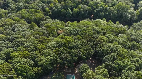 Other - 3484 Highway 5, Hickory Flat, MS 38633 photo 9 of 10