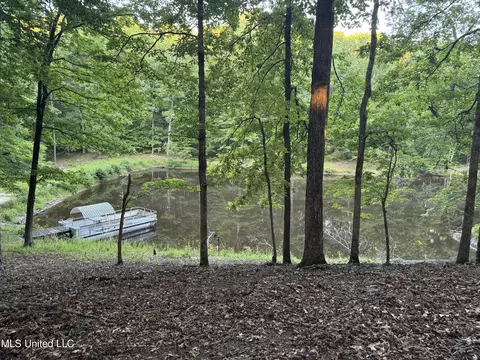 View/Area - 3484 Highway 5, Hickory Flat, MS 38633 photo 2 of 6