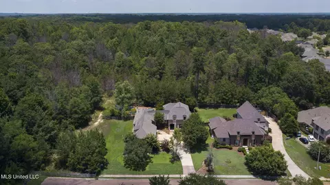 View/Area - 209 Culpepper Blvd, Madison, MS 39110 photo 1 of 6