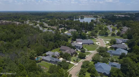 View/Area - 209 Culpepper Blvd, Madison, MS 39110 photo 5 of 6