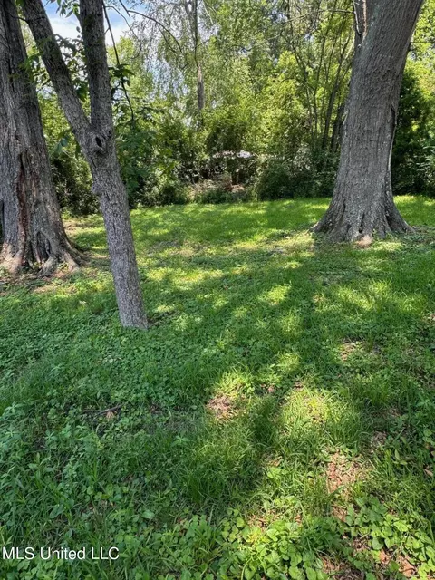 592 Witsell Rd, Jackson, MS 39206 photo 7