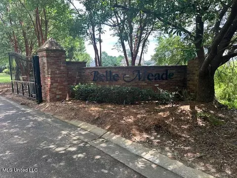 321 Lasalle Ct, Flowood, MS 39232 photo 2