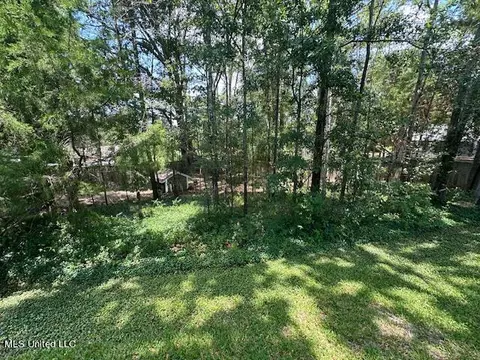 321 Lasalle Ct, Flowood, MS 39232 photo 39