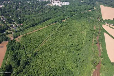 North Street, New Albany, MS 38652