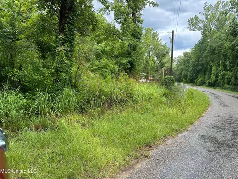 Nhn Mayhall Drive, Lucedale, MS 39452 photo 2