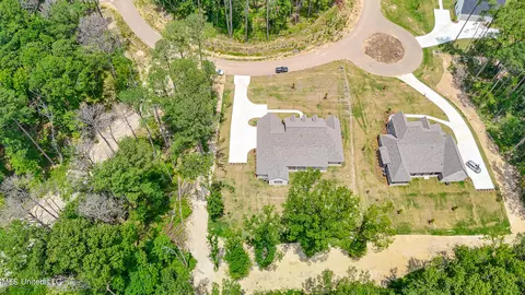 View/Area - 913 Brookhollow Court Ct, Flowood, MS 39232 photo 2 of 5