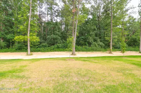 Exterior - 913 Brookhollow Court Ct, Flowood, MS 39232 photo 6 of 12