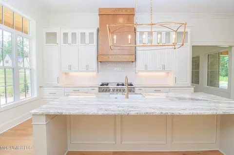 Kitchen - 913 Brookhollow Court Ct, Flowood, MS 39232 photo 1 of 6