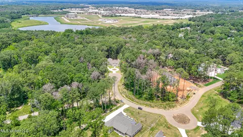 View/Area - 913 Brookhollow Court Ct, Flowood, MS 39232 photo 4 of 5