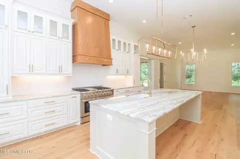 Kitchen - 913 Brookhollow Court Ct, Flowood, MS 39232 photo 6 of 6