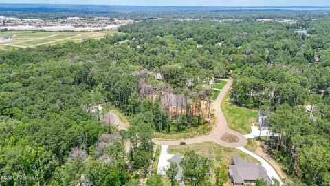 View/Area - 913 Brookhollow Court Ct, Flowood, MS 39232 photo 3 of 5