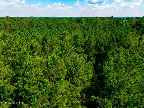 0 Hathorn Rd, Oak Vale, MS 39656 photo 24