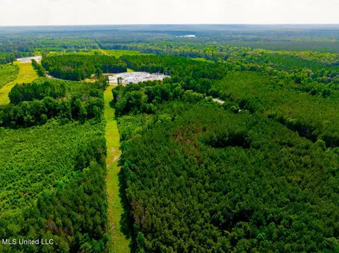 0 Hathorn Rd, Oak Vale, MS 39656 photo 18