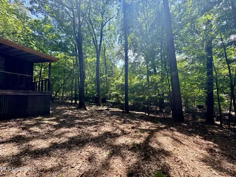 33 Webster Rd, Pope, MS 38658 photo 4