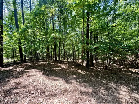 33 Webster Rd, Pope, MS 38658 photo 12