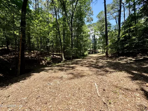 33 Webster Rd, Pope, MS 38658 photo 14