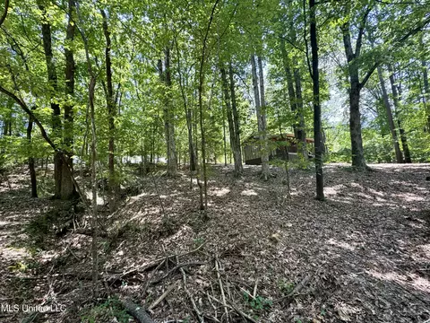 33 Webster Rd, Pope, MS 38658 photo 13