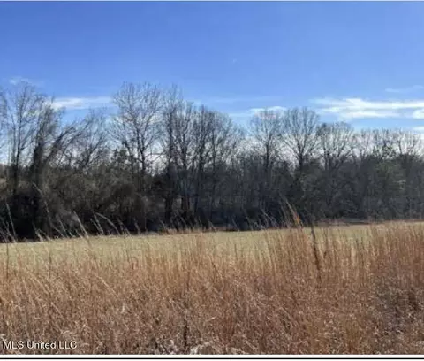 Clear Creek Road, Lamar, MS 38642 photo 7