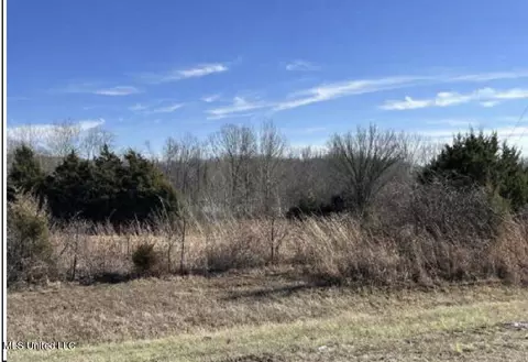 Clear Creek Road, Lamar, MS 38642 photo 6