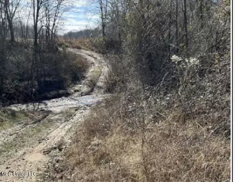 Clear Creek Road, Lamar, MS 38642 photo 10