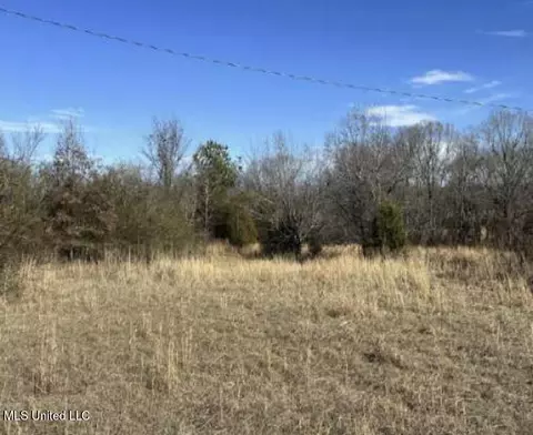 Clear Creek Road, Lamar, MS 38642 photo 9