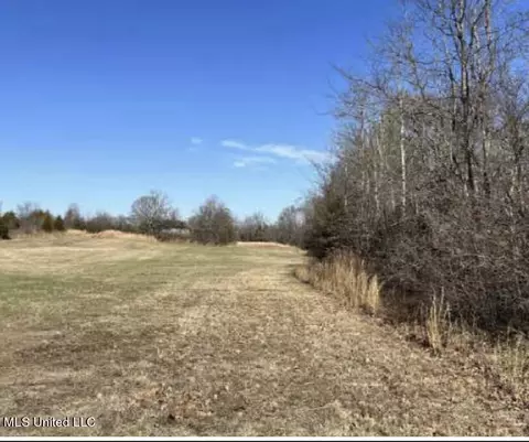 Clear Creek Road, Lamar, MS 38642 photo 5