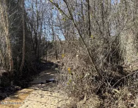 Clear Creek Road, Lamar, MS 38642 photo 8